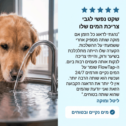 FlowTap - מזרקת מים חכמה