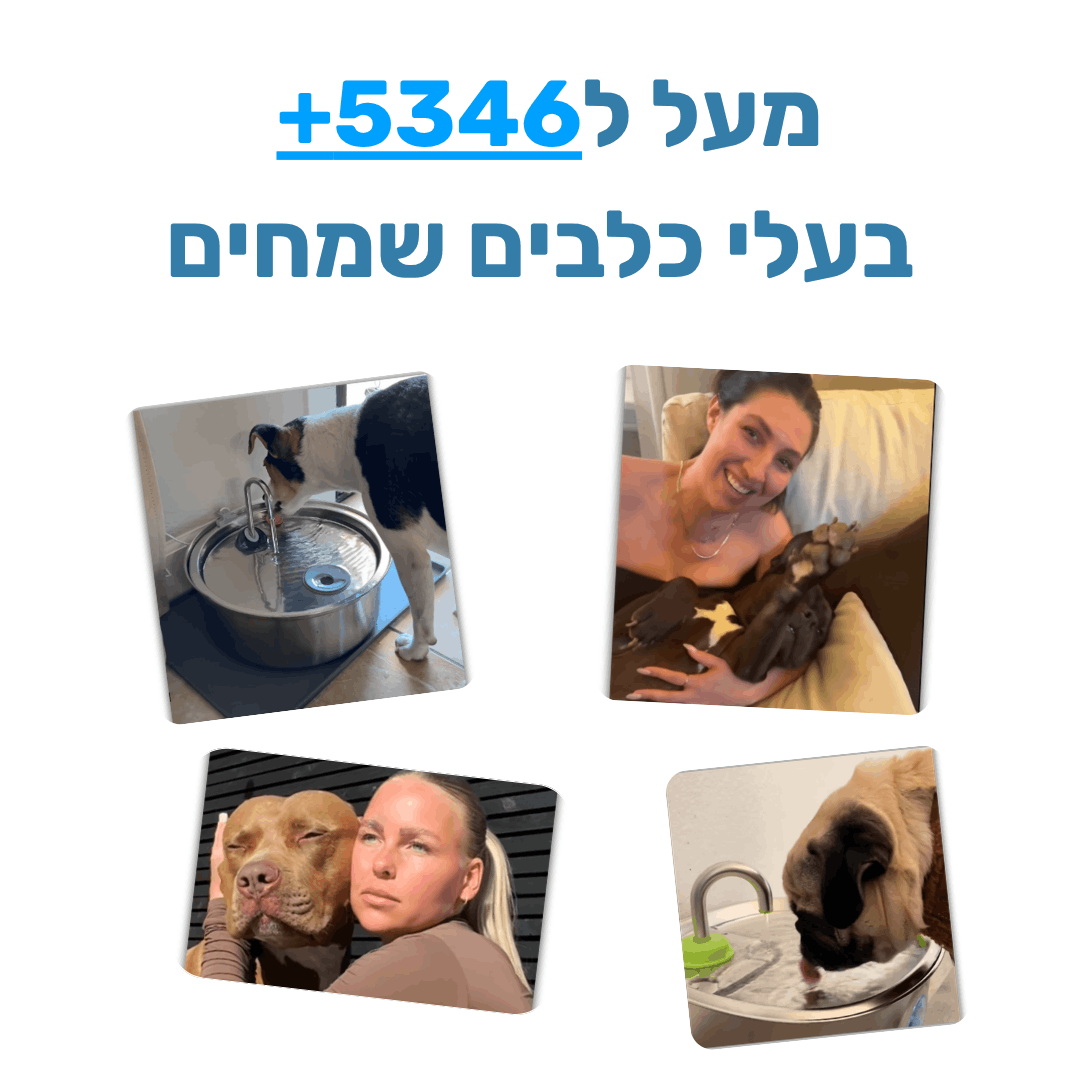 FlowTap - מזרקת מים חכמה