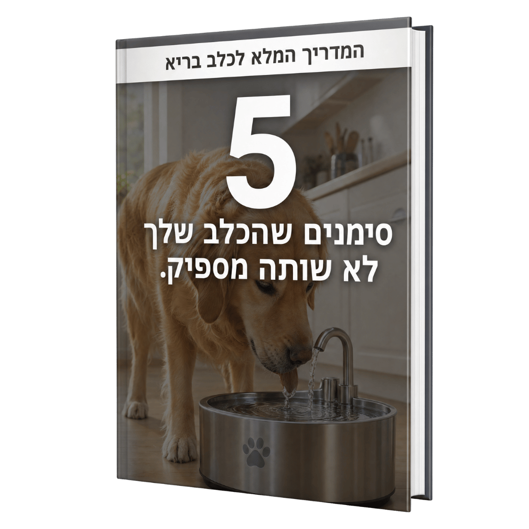 .ספר דיגיטלי - 5 סימנים שהכלב שלך לא שותה מספיק