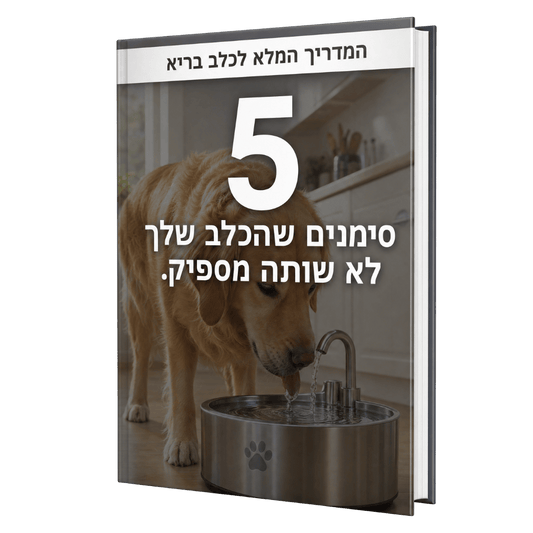 .ספר דיגיטלי - 5 סימנים שהכלב שלך לא שותה מספיק
