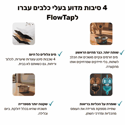 FlowTap - מזרקת מים חכמה