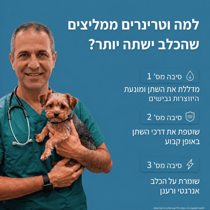 FlowTap - מזרקת מים חכמה